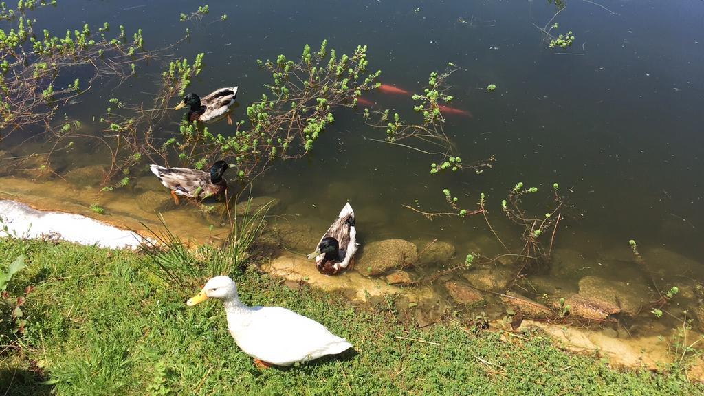Quinta Das Mineirinhas วีลาโนวา เด เซอร์เวย์รา ภายนอก รูปภาพ